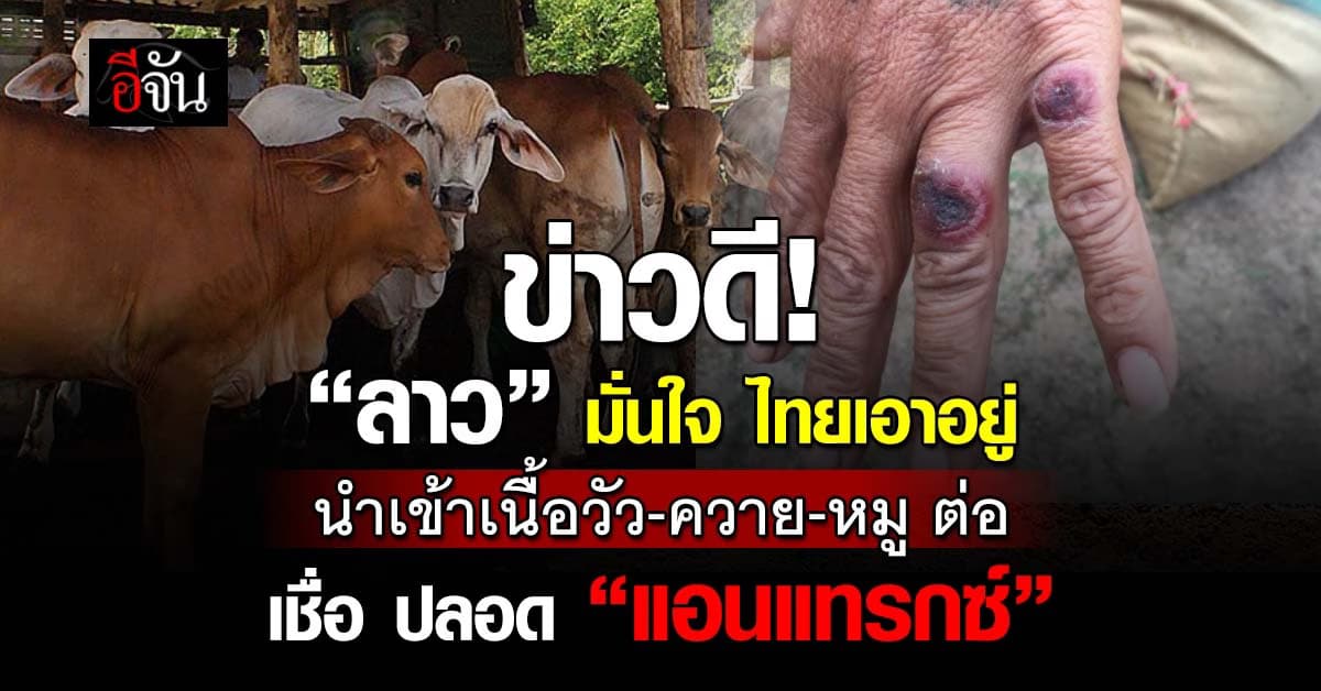 ก.เกษตร มั่นใจไทย คุม แอนแทรกซ์ อยู่ สั่งนำเข้าเนื้อสัตว์ต่อ