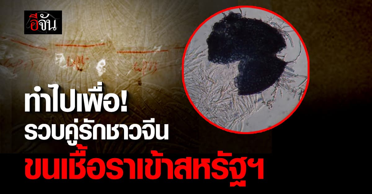 สหรัฐฯ รวบคู่รักจีน ขนเชื้อราเข้าประเทศ