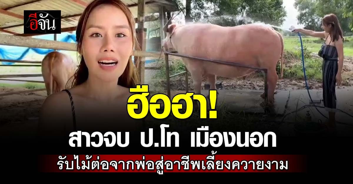 ฮือฮา! สาวสวยจบนอก ผันตัวสู่อาชีพเลี้ยงควายงาม สานต่อธุรกิจพ่ออย่างเต็มตัว 