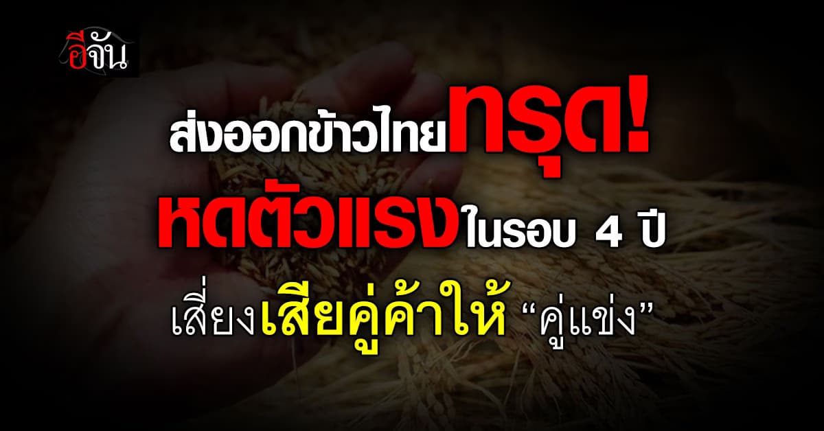 ส่งออก “ข้าวไทย” หดตัวแรงในรอบ 4 ปี เสี่ยงเสียคู่ค้าให้ “คู่แข่ง”