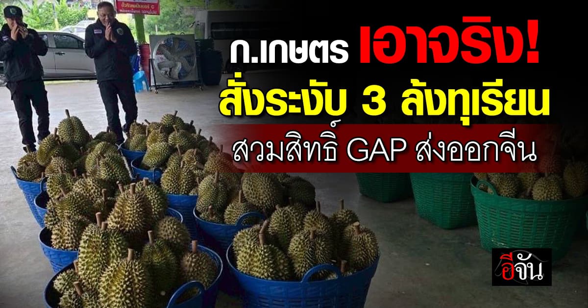 ก.เกษตร เอาจริง! สวมสิทธิ์ GAP ส่งออกจีน ถูกสั่งระงับ 7 วัน