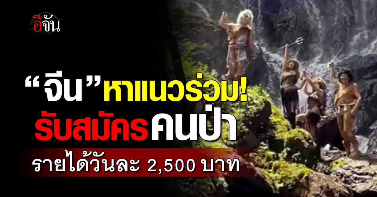 “จีน” รับสมัคร “คนป่า” รายได้วันละ 2,500 บาท