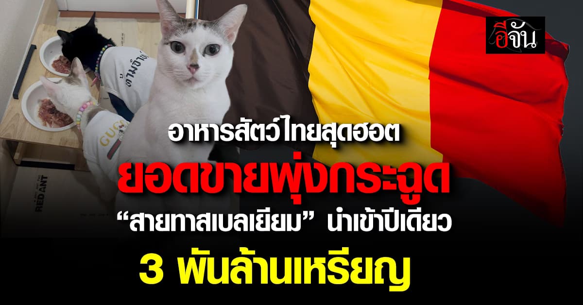 อาหารสัตว์ไทย สุดปัง ยอดขายพุ่ง แค่เบลเยียมที่เดียว กดไป 3พันล้านเหรียญ