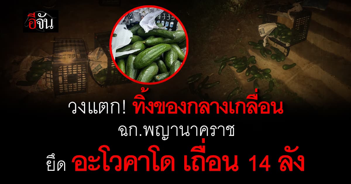 “พญานาคราช” โชว์ผลงาน ยึดอะโวคาโดเถื่อน 14 ลัง ริมฝั่งโขง มุกดาหาร