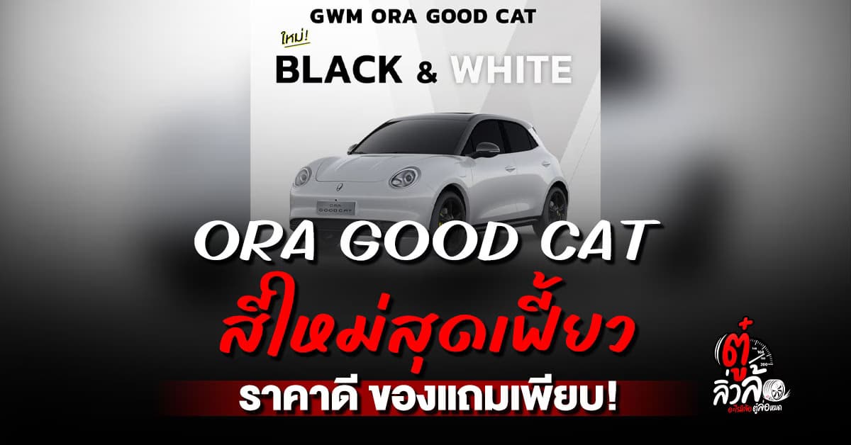 ORA GOOD CAT สีใหม่ Black & White สุดคูล! ราคาดี ของแถมจัดเต็ม