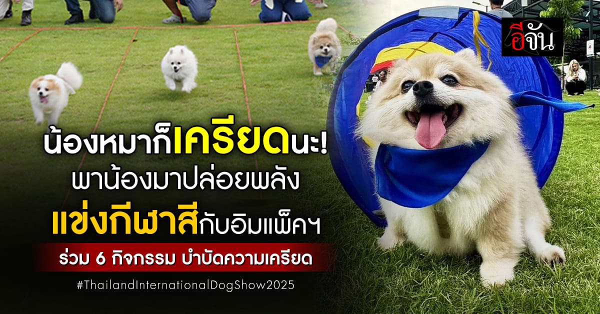 อิมแพ็คฯ ชวนทาสหมา พาเจ้านายมาแข่งกีฬาสี ร่วม บำบัดความเครียด