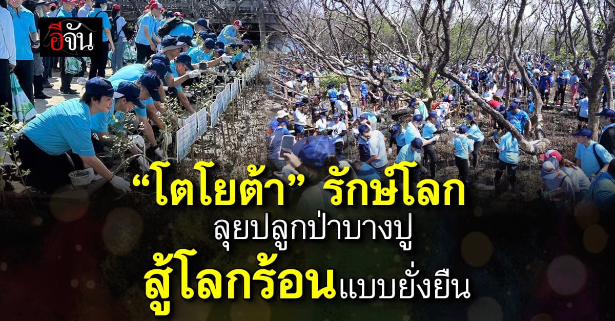 “โตโยต้า” ลุยปลูกป่าชายเลน ฟื้นบางปูสู่เมืองสีเขียว