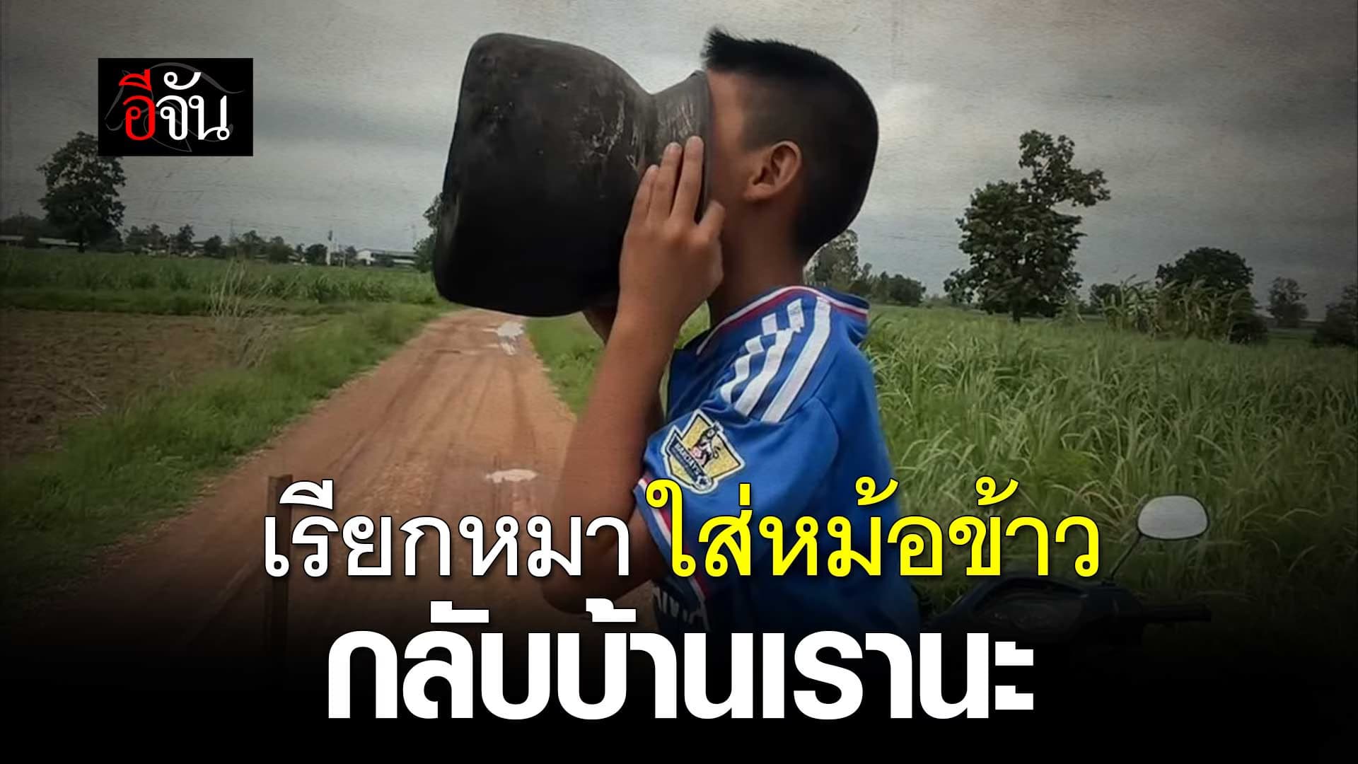 🎬 เรียกหมา ใส่หม้อข้าว กลับบ้านเรานะ