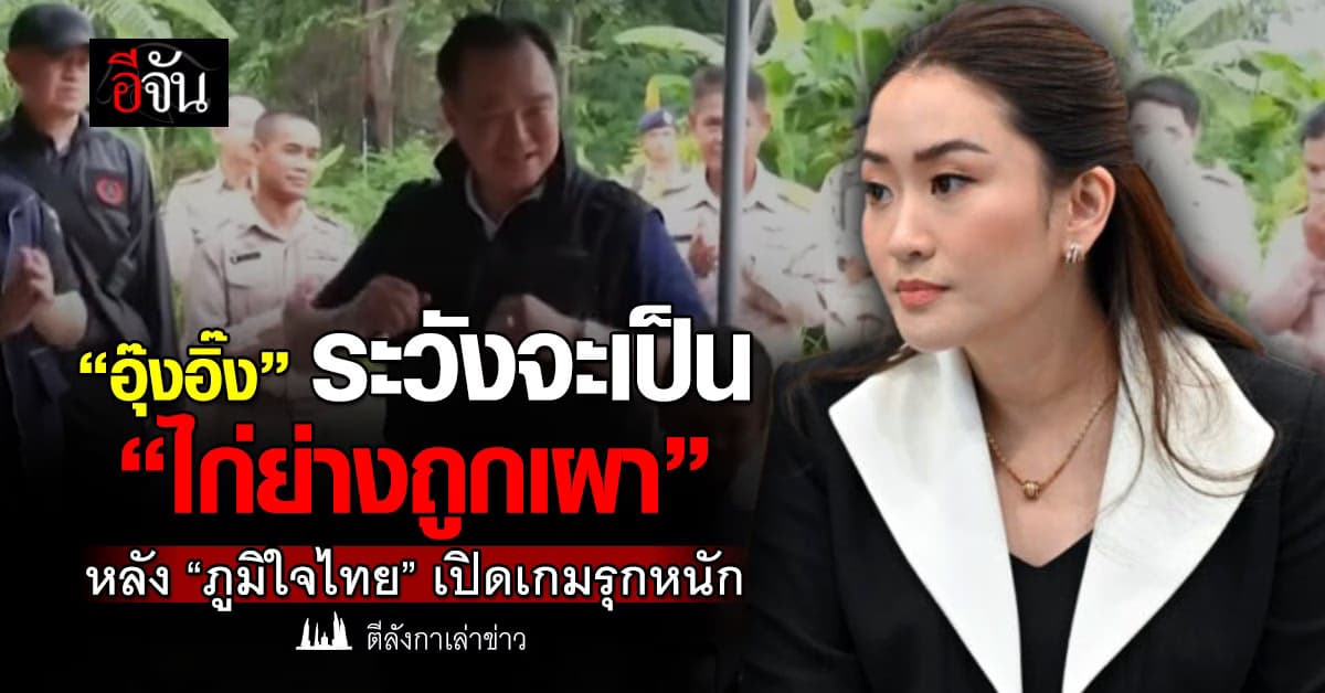 “อุ๊งอิ๊ง” ระวังจะเป็น “ไก่ย่างถูกเผา” หลัง “ภูมิใจไทย” เปิดเกมรุกหนัก