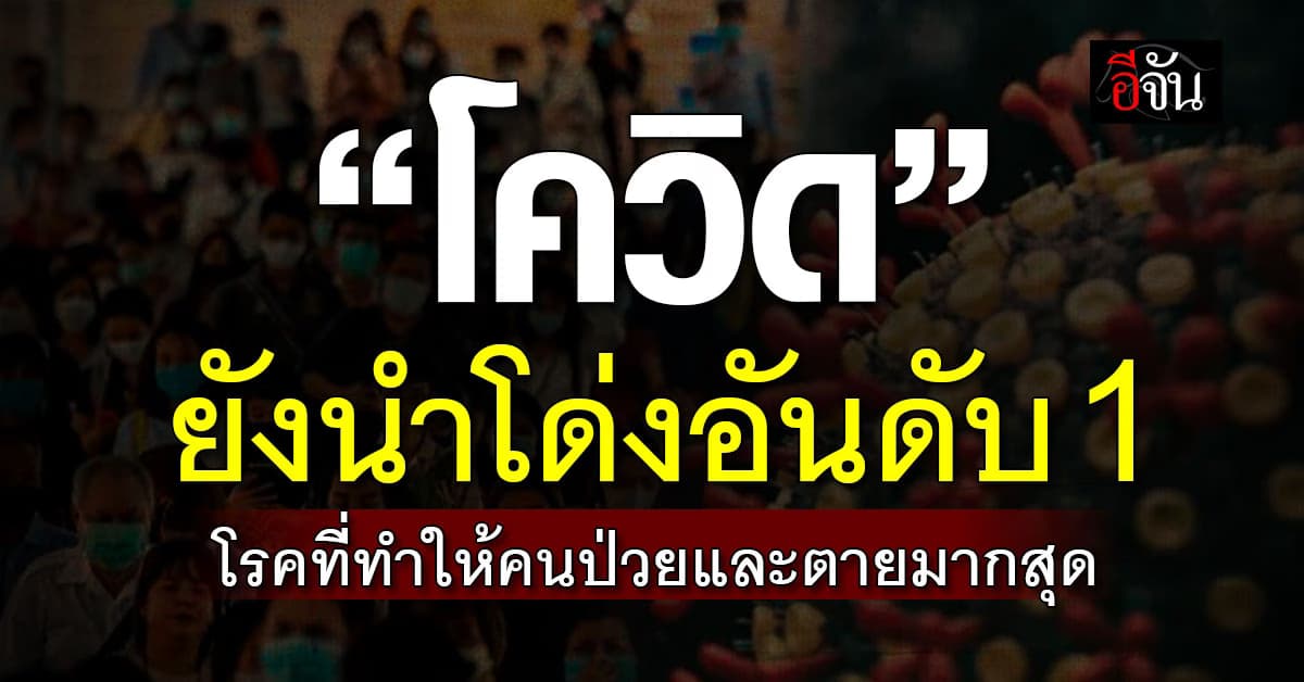 ระบาดทั่ว! โควิด ยังนำโด่ง โรคที่ทำคนป่วยและตายมากสุดตอนนี้ 