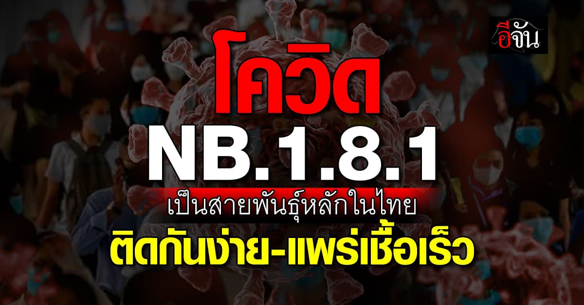 โควิด NB.1.8.1 เป็นสายพันธุ์หลักในไทยแล้วตอนนี้ แพร่เชื้อไวมาก 