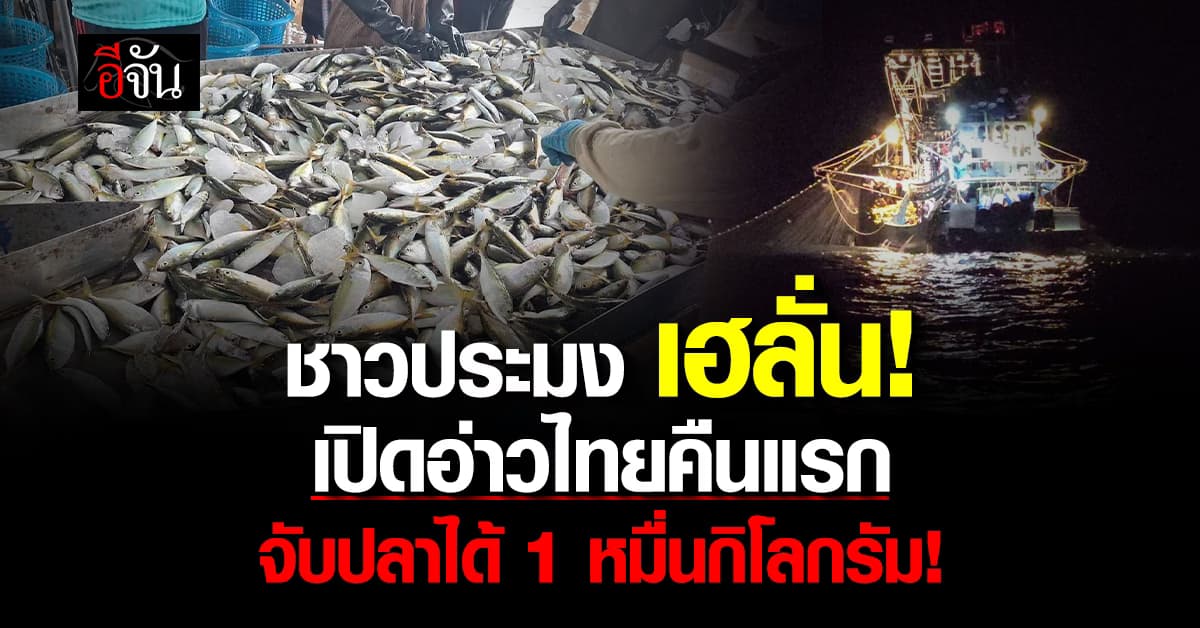 ชาวประมง เฮ! เปิดอ่าวไทยคืนแรก จับปลาได้สูงสุด 10,000 กิโลกรัม