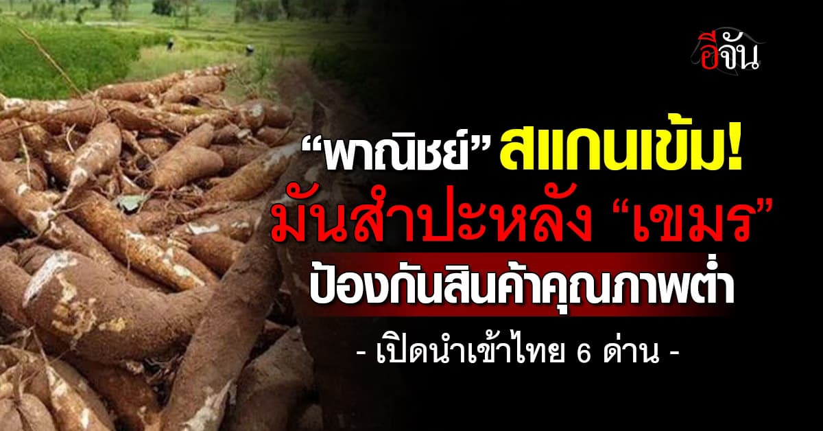 พาณิชย์ฯ สแกนมันสำปะหลัง “เขมร” ป้องสินค้าคุณภาพต่ำเข้าไทย