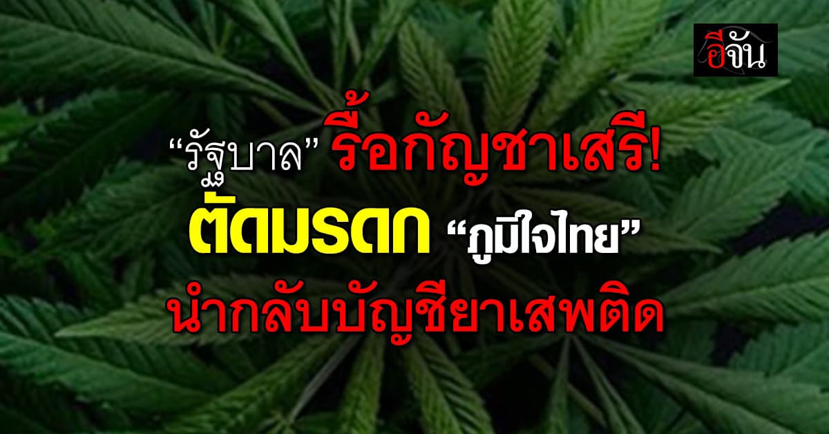 รัฐบาล รื้อกัญชาเสรีตัดมรดก ”ภูมิใจไทย“ นำกลับบัญชียาเสพติด