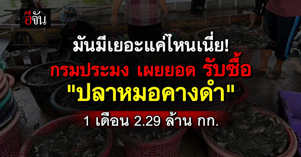 กรมประมง เผย 1 เดือน รับซื้อ #ปลาหมอคางดำ 2.29 ล้าน กก. เน้นย้ำ จับจริง ซื้อจริง