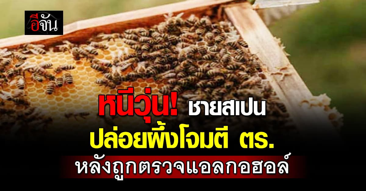 หนีวุ่น! ชายสเปน ปล่อยผึ้งโจมตี ตร.หลังถูกตรวจแอลกอฮอล์ 