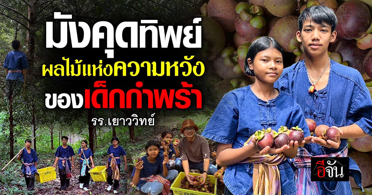 มังคุดทิพย์ เยาววิทย์พังงา โอกาสและรายได้ของเด็กกำพร้า