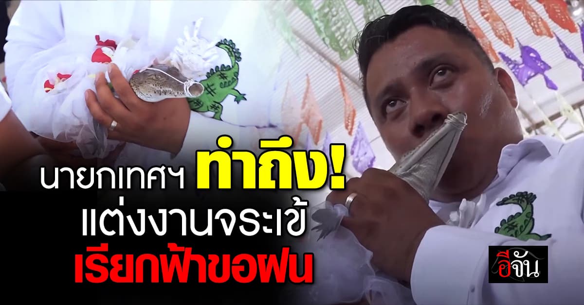 “นายกเทศมนตรี” แต่งงานกับ “จระเข้” เรียกโชค