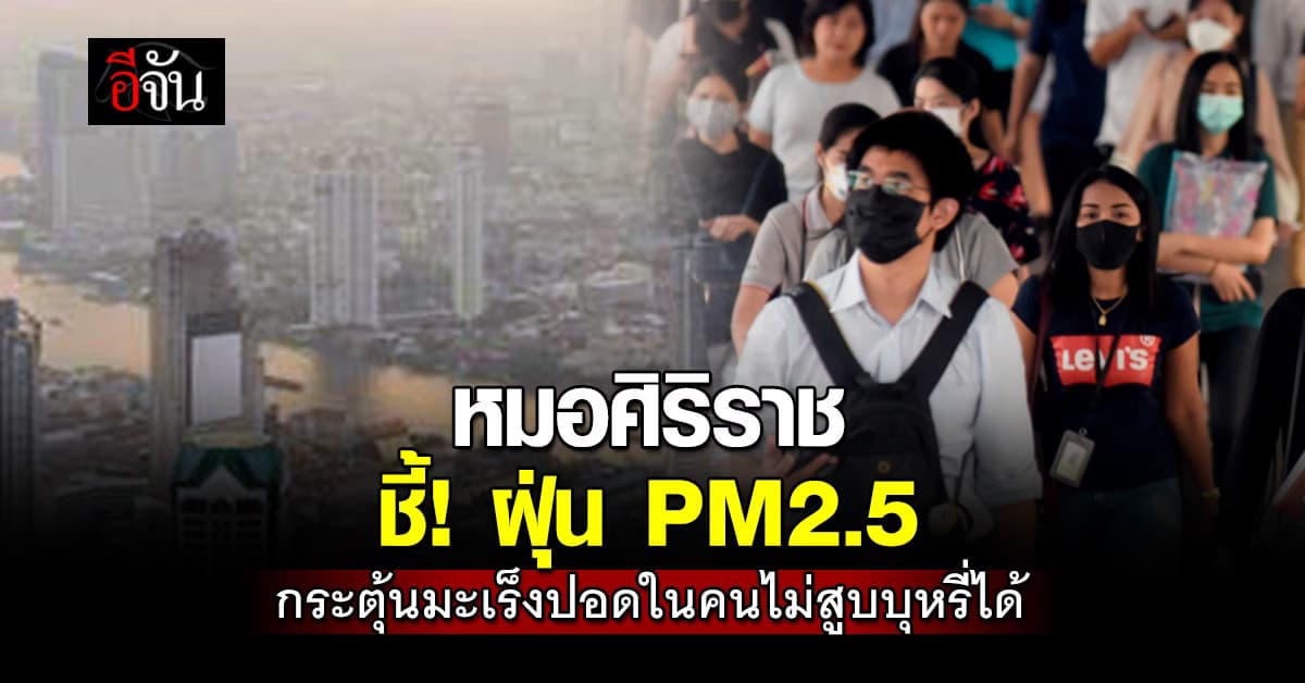อันตรายกว่าที่คิด! หมอศิริราช ชี้ ฝุ่น PM2.5 กระตุ้นมะเร็งปอดในคนไม่สูบบุหรี่ 