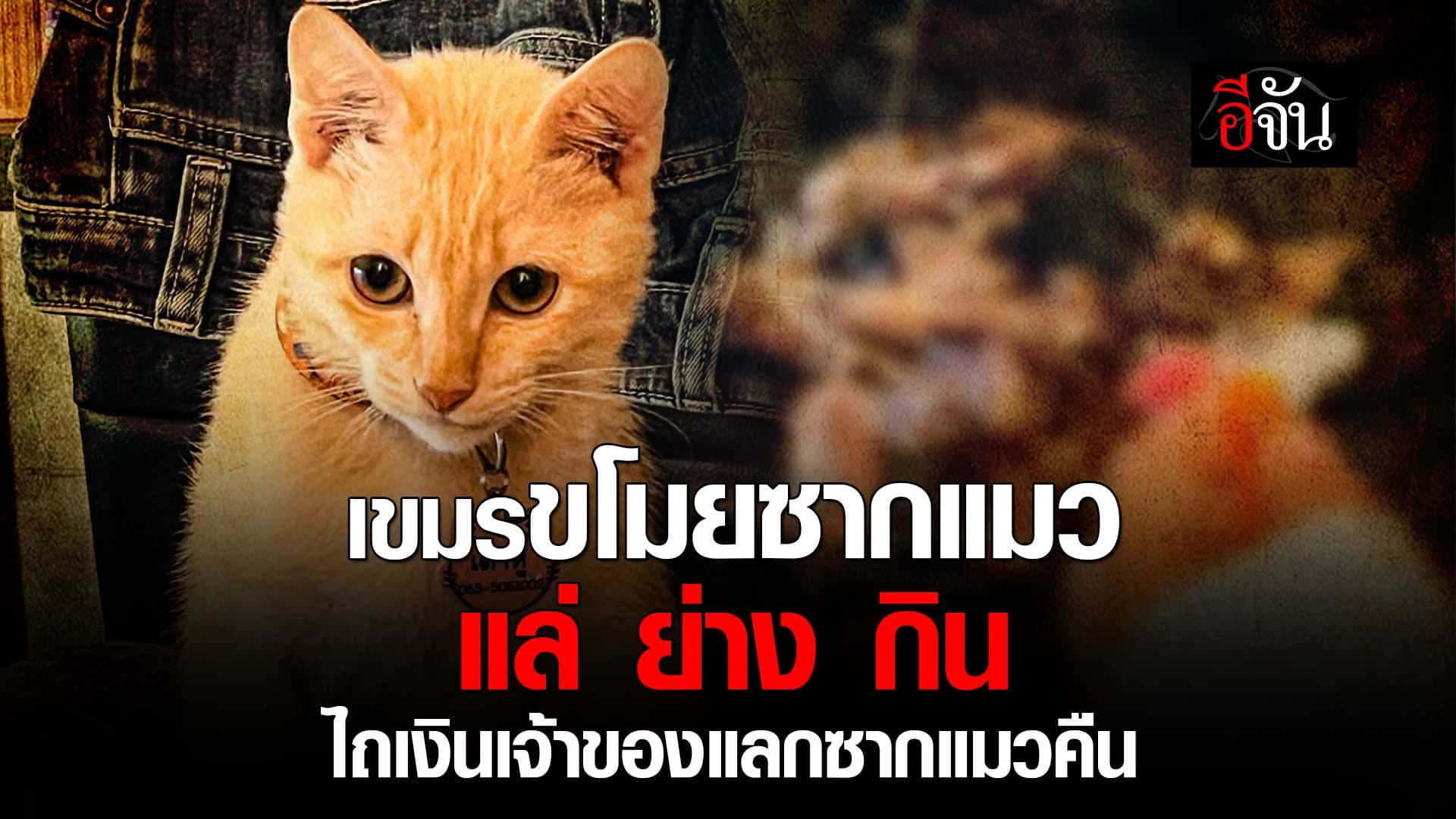 🎬 แมวหายออกจากบ้าน พบเป็นซาก ถูกคนเขมรแล่กิน ยังโดนไถเงินอีก 200 บาท
