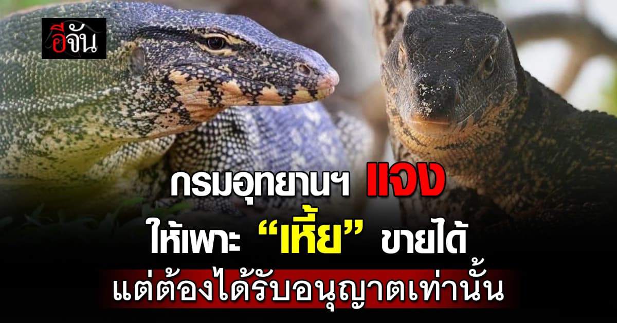 กรมอุทยานฯ แจง ”เหี้ย” สามารถเพาะขายได้ แต่ไม่ใช่ทุกคนที่จะเลี้ยงได้