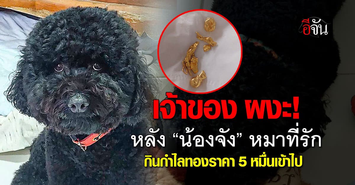 ผงะ! “น้องจัง” กินกำไลทองราคา 5 หมื่นเข้าไป งานนี้มีหลั่งน้ำตา 