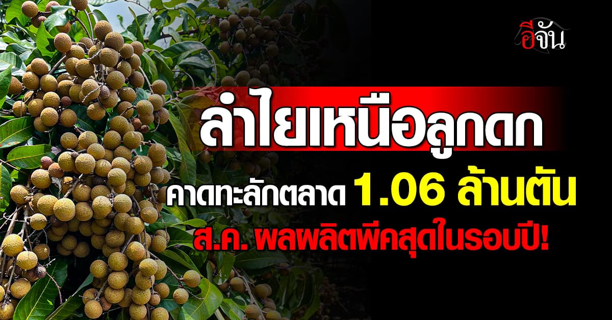 ลำไยเหนือลูกดก! คาดทะลักตลาด 1.06 ล้านตัน