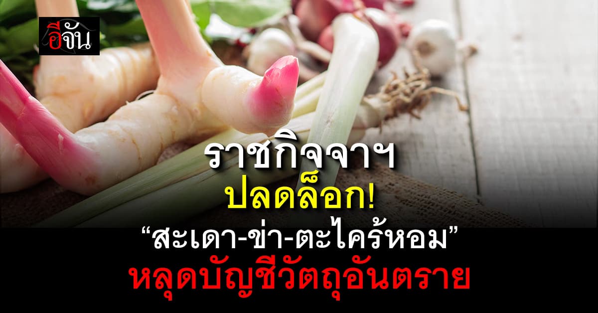 ราชกิจจาฯ ประกาศปลดล็อก พืช 3 ชนิด ให้หลุดจากบัญชีวัตถุอันตราย 