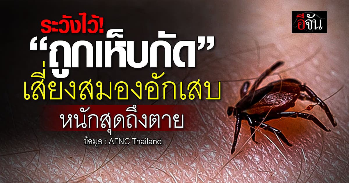 ระวัง! ถูกเห็บกัด เสี่ยงสมองอักเสบ รุนแรงถึงตาย