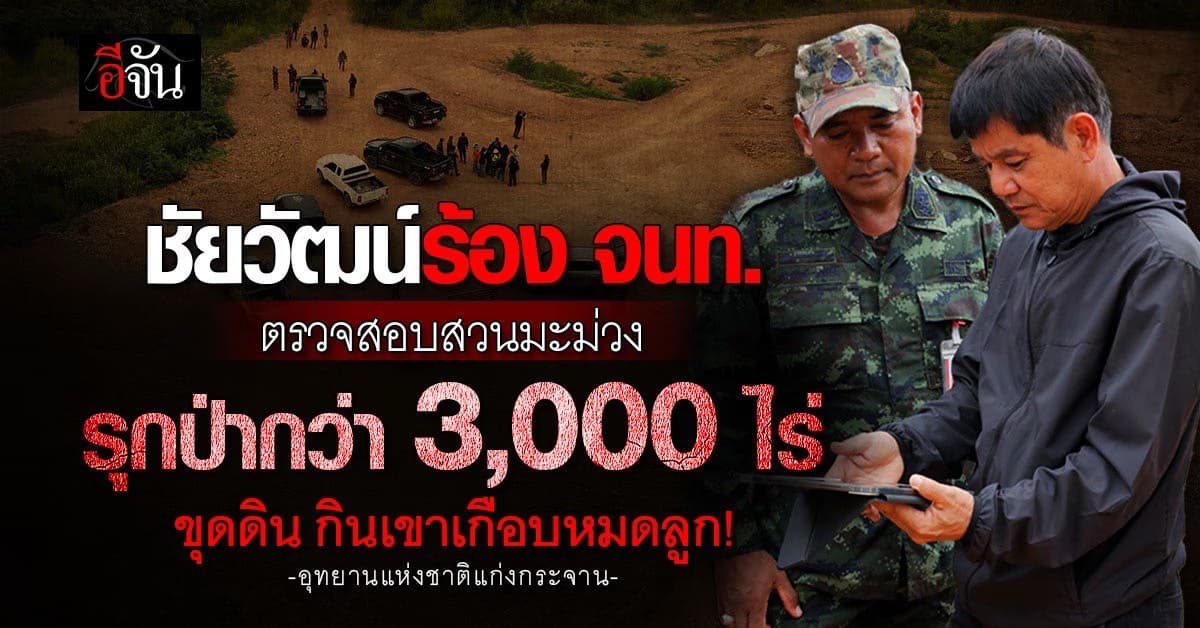 จนท.ผนึกกำลัง ลงสวนมะม่วง รุกที่กลางป่า กว่า 3,000 ไร่ จ่อดำเนินคดี 15 ราย!”