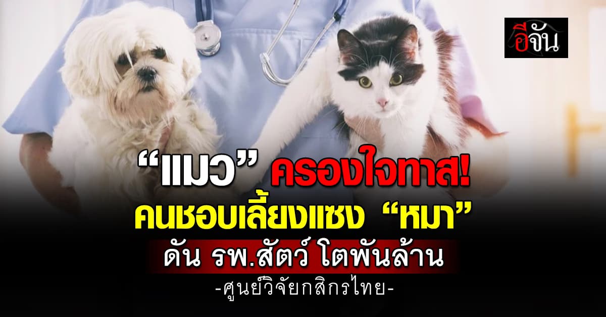 คนชอบเลี้ยง “แมว” แซง “หมา” ดันธุรกิจ รพ.สัตว์ โต 8.4 พันล้าน