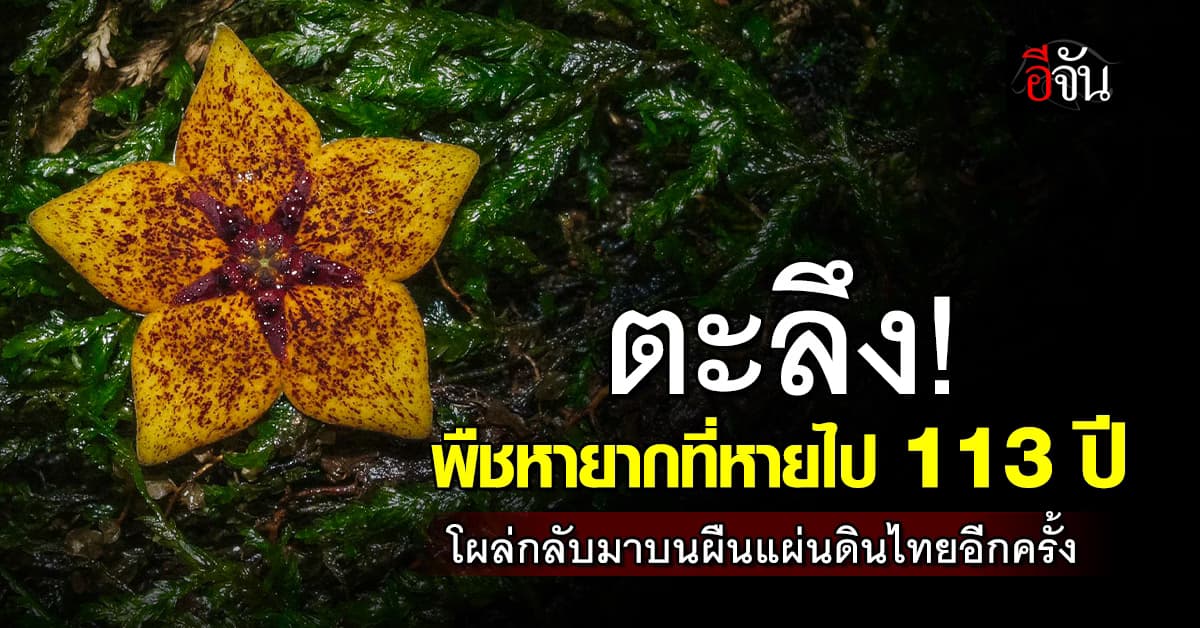อึ้ง! พืชที่หายจากโลกนานถึง 113 ปี กลับมาโผล่บนผืนแผ่นดินไทย