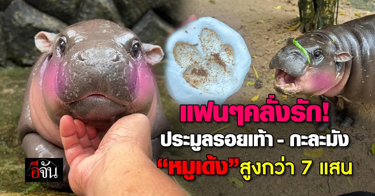 หมูเด้ง ฮอตจึ้ง! แฟนคลับเปย์หนัก ประมูลรอยเท้า-กะละมัง มูลค่าหลายแสนบาท 