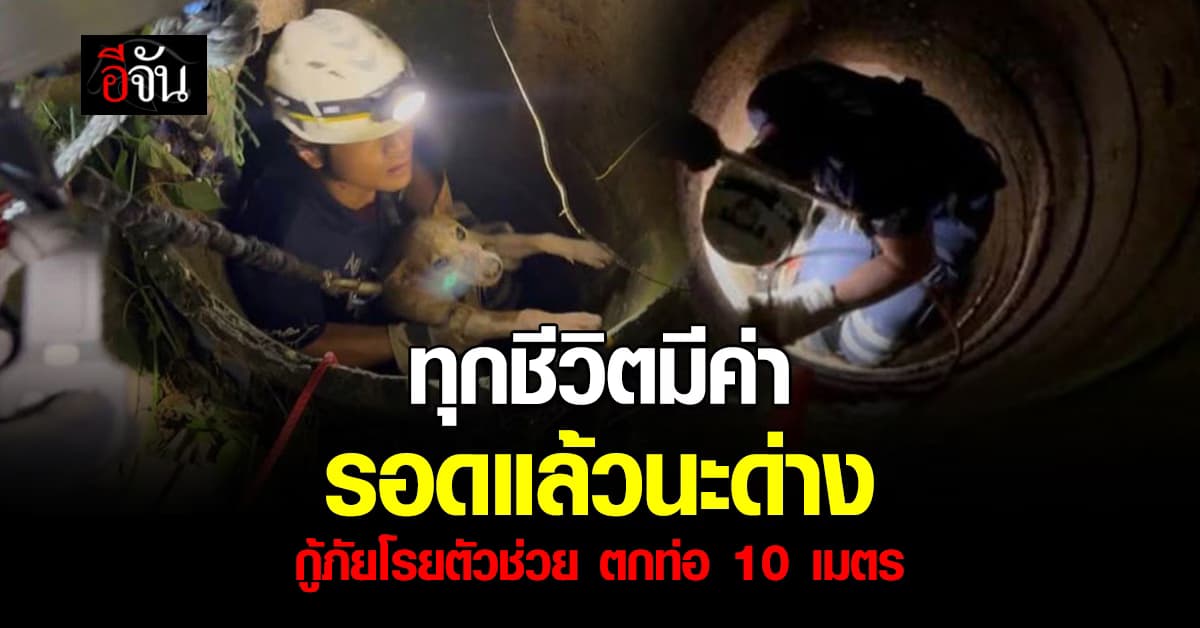 รอดแล้วเจ้าด่าง ตกท่อน้ำ 10 เมตร กู้ภัยโรยตัวช่วย
