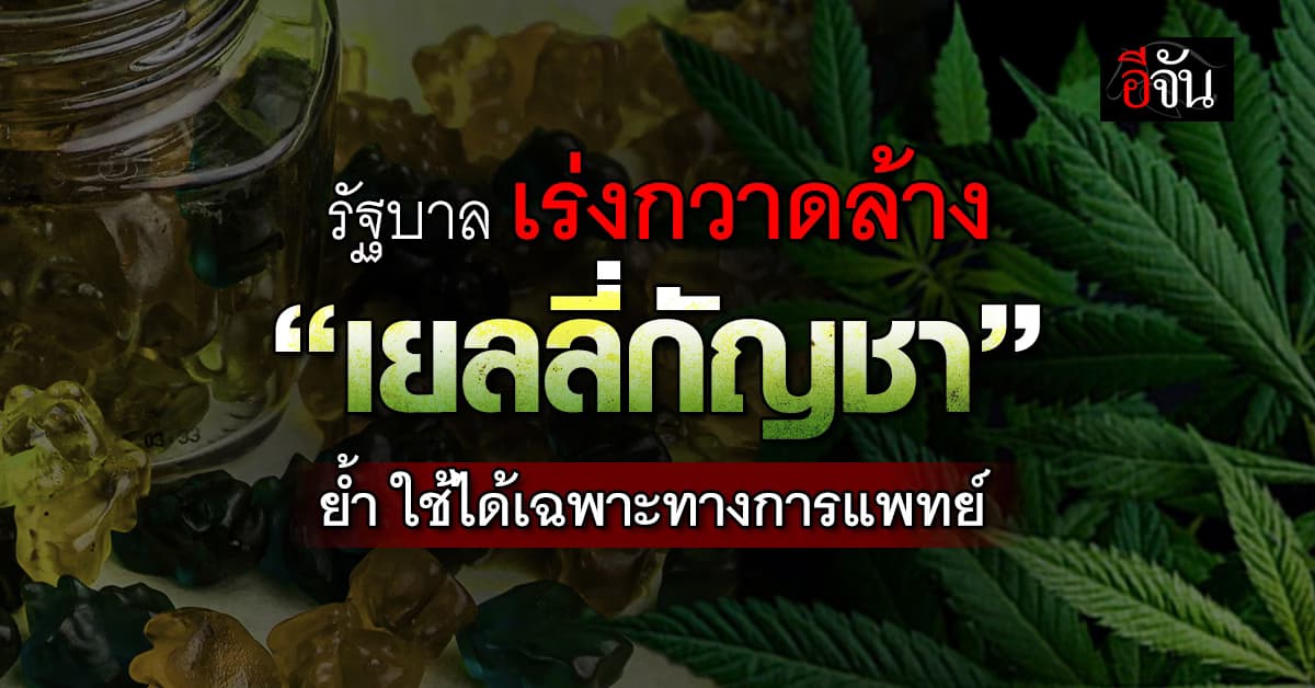 รัฐบาลยันเดินหน้ากวาดล้าง “เยลลี่กัญชา” ผิดกฎหมาย 
