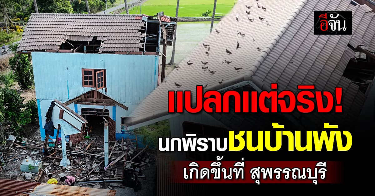 สาวช็อก นกพิราบชนบ้านพังทับ หวิดดับ : สุพรรณบุรี