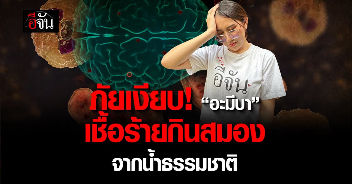 “อะมีบากินสมอง” ภัยร้ายใต้น้ำธรรมชาติ
