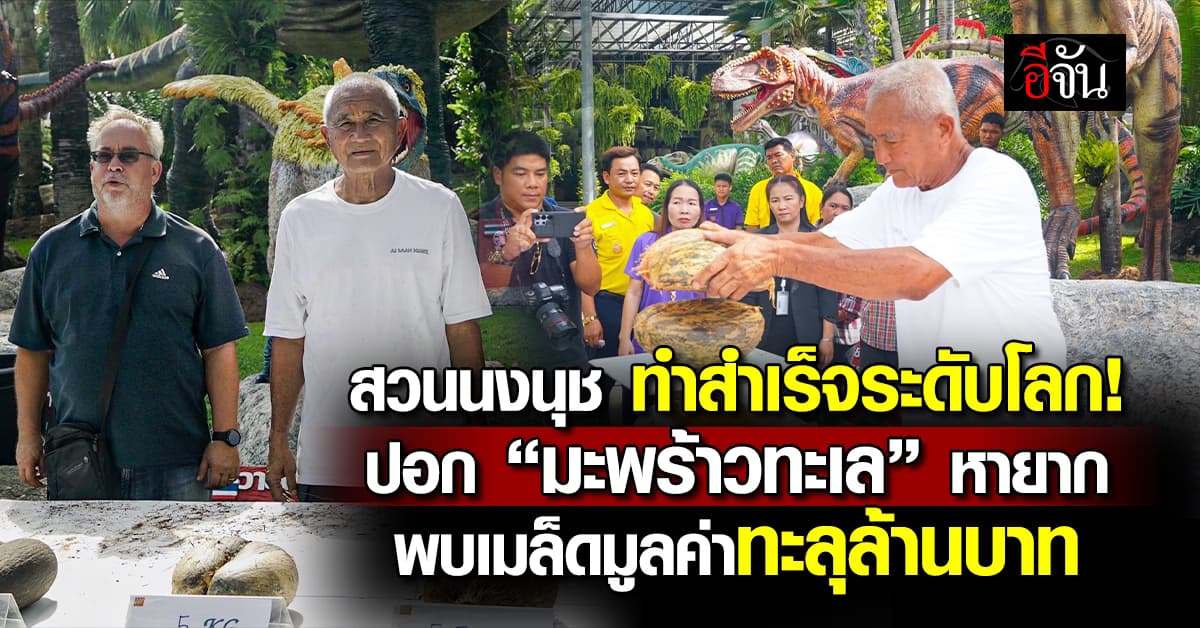 สวนนงนุช ทำสำเร็จ ปอก “มะพร้าวทะเล” หายาก 9 ลูก  มูลค่ารวมทะลุล้านบาท 