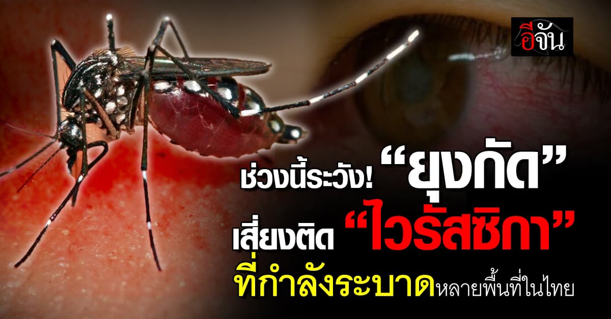 ระวัง! รัฐฯ เตือน “โรคติดเชื้อไวรัสซิกา” กำลังระบาดหลายเเห่งในไทย 