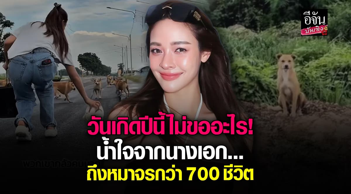 วันเกิดที่ไม่ขออะไร! ปุ๊กลุก ฝนทิพย์ เลี้ยงอาหารหมาจร 700 ชีวิตแทนการฉลอง