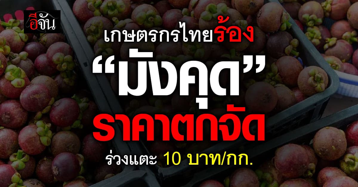 เกษตรกรไทยร้อง! “มังคุด” ร่วงแตะ 10 บาท/กก. ต่ำสุดรอบ 5 ปี
