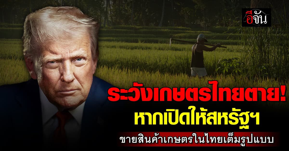 ระวังเกษตรไทยตาย! หากเปิดให้สหรัฐฯ ขายสินค้าเกษตรในไทยเต็มรูปแบบ