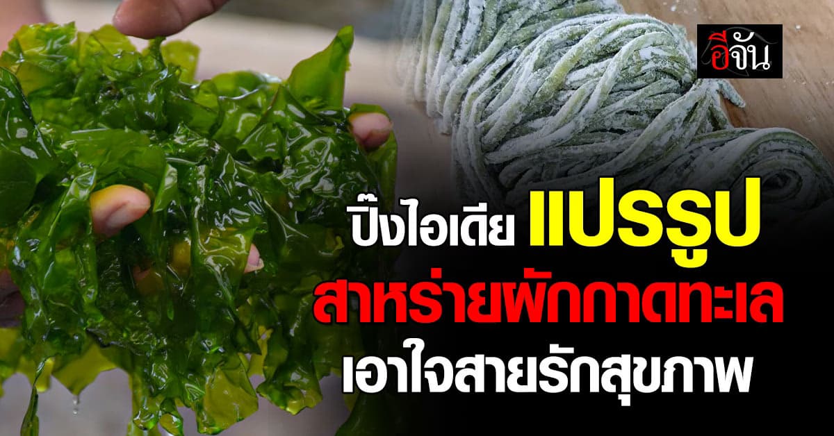 กรมประมง ปิ๊งไอเดีย แปรรูป “สาหร่ายผักกาดทะเล” เอาใจคนรักสุขภาพ