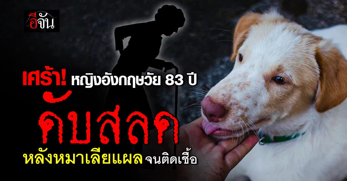 หญิงวัย 83 ปี ดับสลดจากการติดเชื้อ หลังสุนัขเลียแผล 