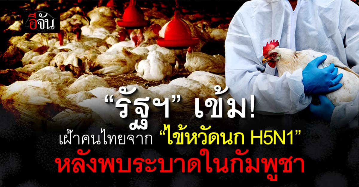 “รัฐฯ” เข้ม เฝ้าระวัง “ไข้หวัดนก H5N1 หลังพบระบาดในกัมพูชา 
