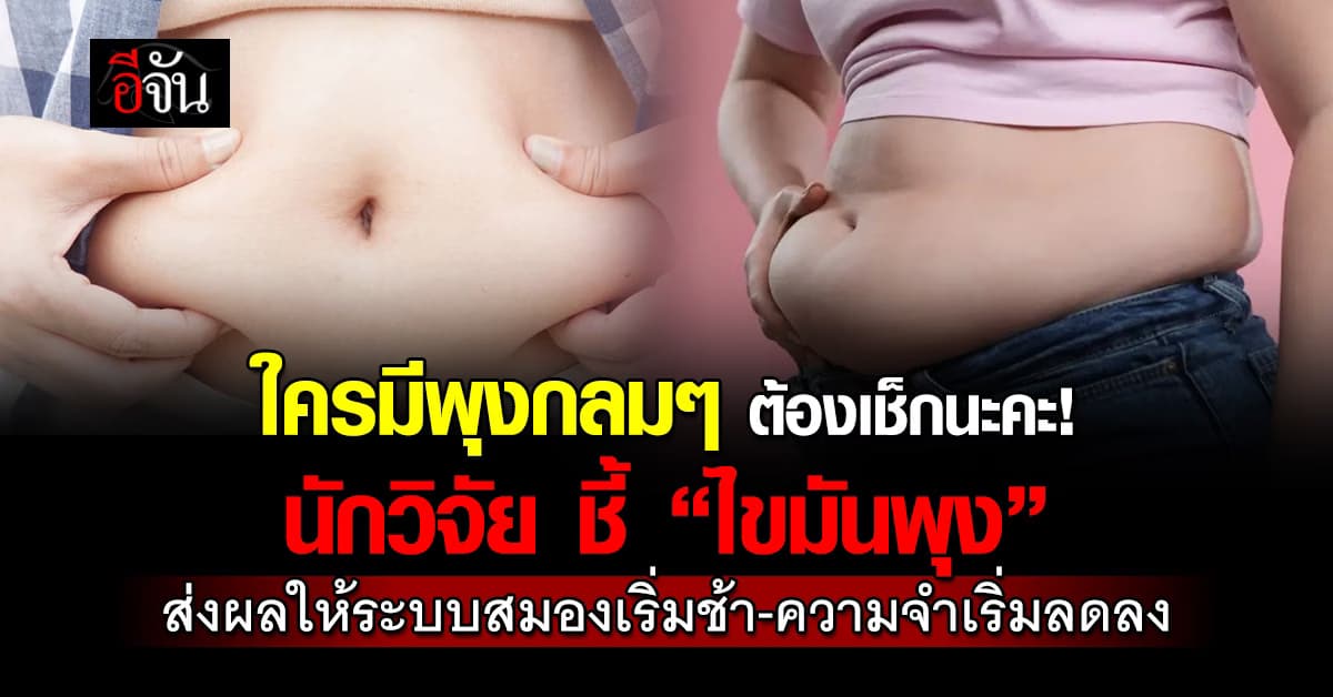 “ไขมันพุง” เสื่อมตามวัย ส่งผลถึงให้สมองช้าลง-ความจำถดถอย 
