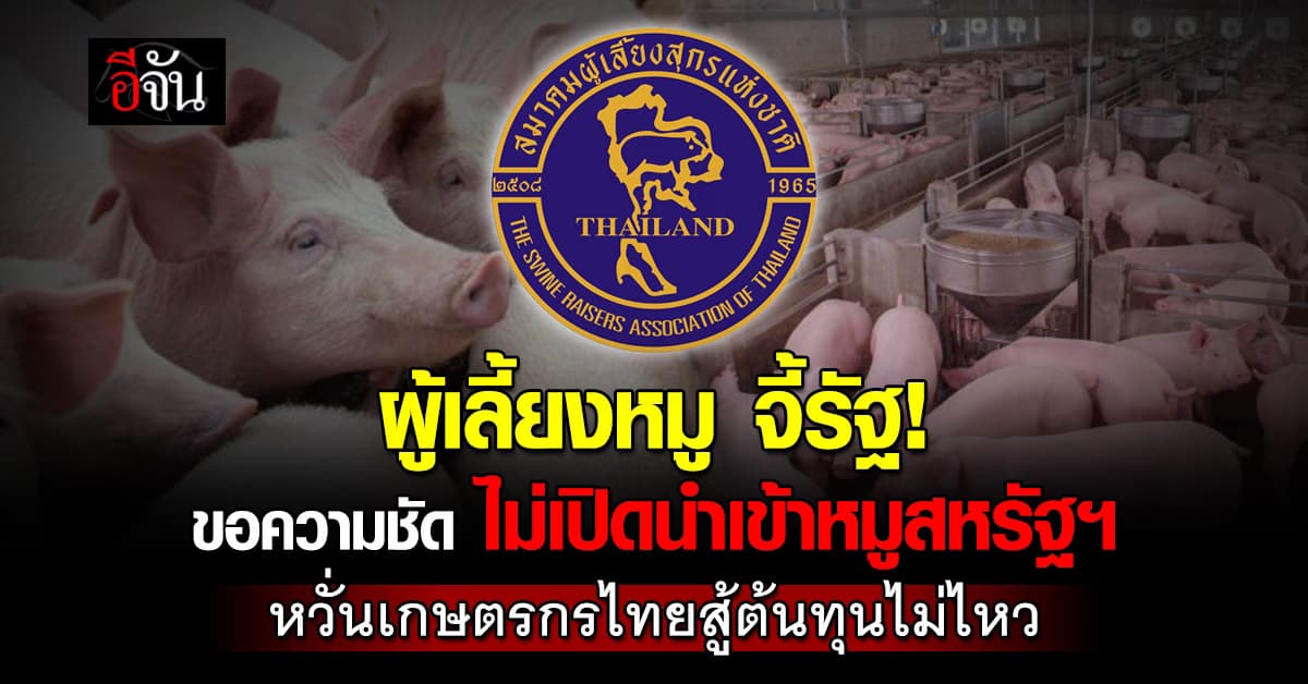 สมาคมผู้เลี้ยงสุกรฯ ขอความชัดเจนจากรัฐ ไม่นำเข้าเนื้อหมูสหรัฐฯ