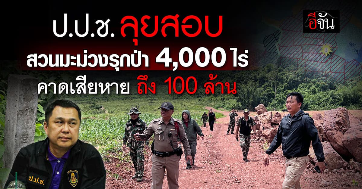 ป.ป.ช.ภาค 7 เร่งสอบปมลักลอบขุดดิน รุกป่าแก่งกระจาน เสียหายกว่า 4,000 ไร่