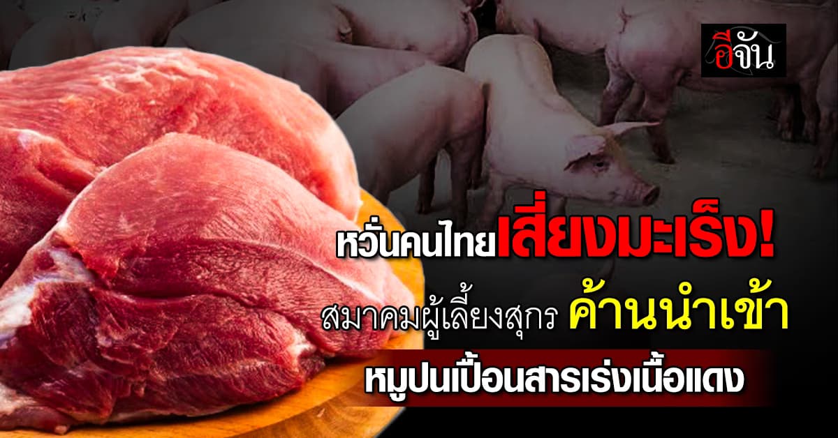 หวั่นคนไทยเสี่ยงมะเร็ง! สมาคมผู้เลี้ยงสุกร ค้านนำเข้าหมูปนเปื้อนสารเร่งเนื้อแดง