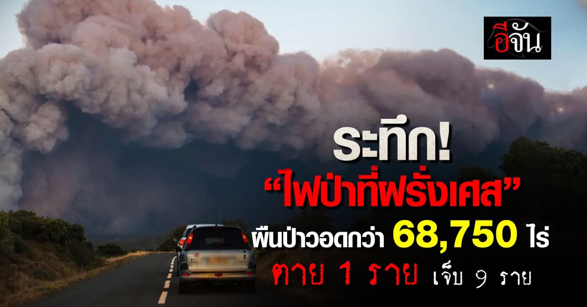 ระทึก! ไฟป่าที่ประเทศฝรั่งเศส ทำผืนป่า-บ้านเรือนถูกเผาเป็นวงกว้าง 